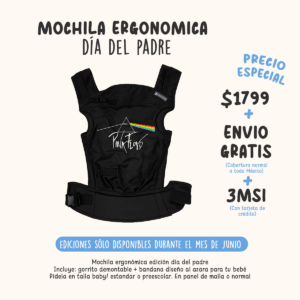 Mochila ergonomica Pink floyd